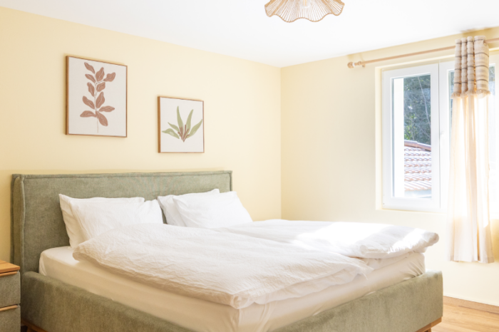 wine-and-cheese-on-the-table-2022-09-09-18-10-10-utc (3)